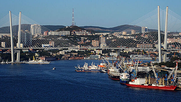 Порт Владивостока не будут закрывать для лайнеров из-за коронавируса