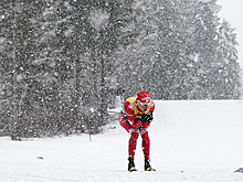 Лыжники группы Перевозчикова начнут подготовку к сезону 17 мая в Швеции