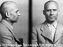 3 самых известных генерала Сталина, перешедших на сторону Гитлера