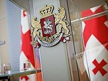 Власти Грузии обещают поддержку арестованным в США спортсменам