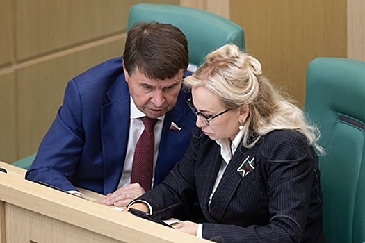 Сенаторы из Крыма усомнились в способности украинского БПЛА атаковать штаб флота