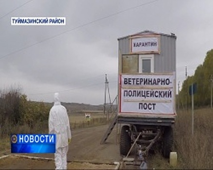 В трех башкирских селах ввели карантин из-за ящура