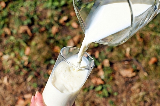 Волгоградское предприятие производило молочную продукцию из нелогичного объема сырья