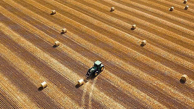 Власти Кубани рассказали об урожае зернобобовых в этом году