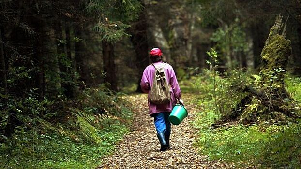 Исчезнувших в лесу костромичек спасли заряженные мобильники
