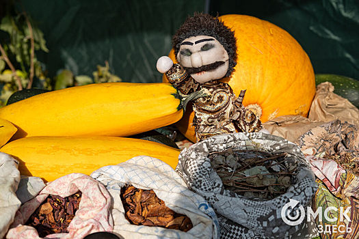 Омская крепость готовится к масштабному празднику осеннего урожая