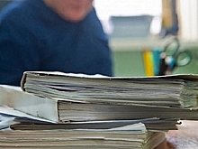 Житель региона получил условный срок за вырубку деревьев