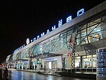 Опасное сближение пассажирских самолетов в Толмачево проверят следователи