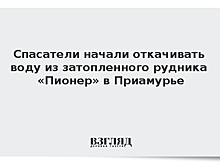 Спасатели начали откачивать воду из затопленного рудника «Пионер» в Приамурье