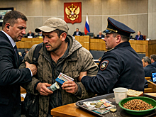 Отстранить от кормушки: в Госдуме хотят лишить мигрантов пособий и льгот. Не навсегда и не всех