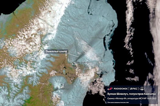 Вулкан Шивелуч на Камчатке выбросил пепел на высоту 4 километра