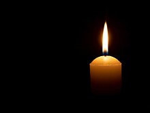 Морской биолог Сергей Масленников умер на 63-м году жизни