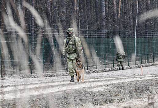 В России оценили обстановку на границе Украины и Белоруссии