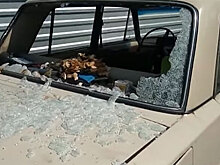 Дачника-пенсионера на старой «копейке» избил член правления