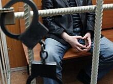 Вдова попросила о снисхождении к мигранту, убившему её мужа отвёрткой