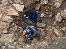 Ученые разгадали тайну 5200 загадочных ям в перуанских Андах