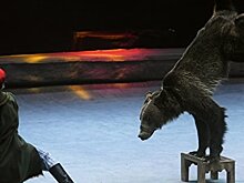 В Одессе пикетировали цирк из-за представления с животными