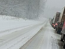 На трассе у деревни Загребино в Удмуртии перевернулась фура