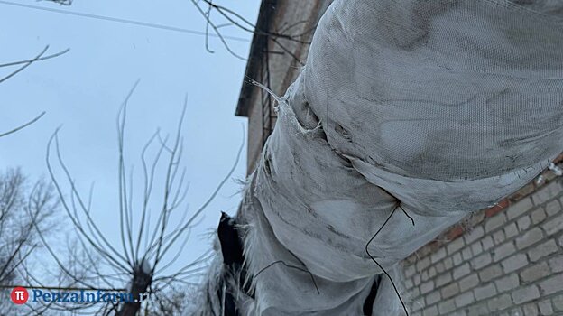 Губернатор рассказал об опасности теплой зимы для сетей