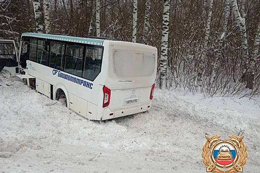 Пассажирский автобус вылетел в кювет и протаранил дерево в российском города