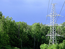 Электросетевой комплекс Подмосковья подготовился к пожароопасному периоду