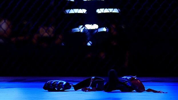 Экс-боец UFC приговорен к 15 годам лишения свободы
