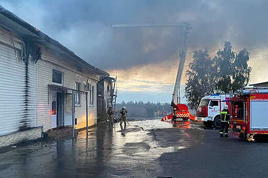 Губернатор Курской области Старовойт назвал причиной пожара на фабрике "Бел-Поль" дрон ВСУ