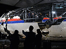 Более 80 родственников жертв MH17 потребуют денежной компенсации