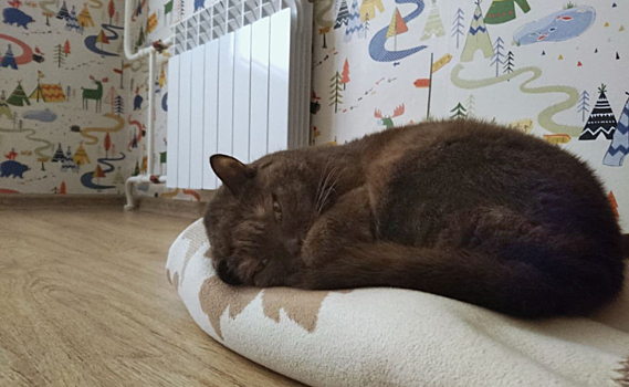 Роман Старовойт попросил курян сообщать на его странице о проблемах с отоплением