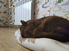 Роман Старовойт попросил курян сообщать на его странице о проблемах с отоплением