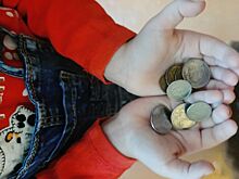 Беременная шестым ребенком костромичка пошла на преступление из-за бедности