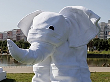 Как полотенечные зверята потерялись на Ходынке и нашли отель с «Яндекс Путешествиями»