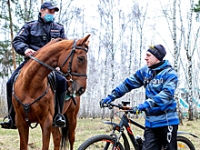 Конная полиция следит за порядком в Жулебинском лесопарке