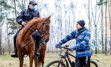 Конная полиция следит за порядком в Жулебинском лесопарке