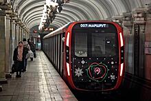 Стало известно о возможном появлении беспилотных поездов в столичном метро