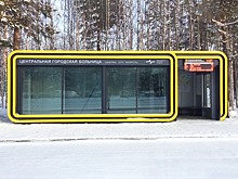 Модульная эволюция