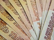 В ЕАО разрешили использовать региональный маткапитал на лечение ребенка