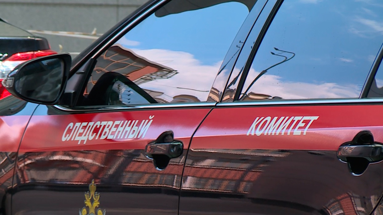 СК РФ опроверг информацию о задержании по делу о пожаре на складе в Шушарах