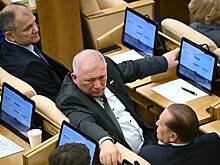 Раскрыта причина просьбы Генпрокуратуры снять неприкосновенность с депутата Госдумы