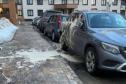 В Мытищах дворник уронил на Mercedes ведро краски