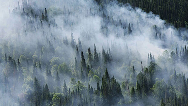 В Сибири за сутки потушили 40 очагов природных пожаров