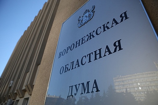 Правительство внесло в Воронежскую областную думу проект бюджета на 2026-2028 годы