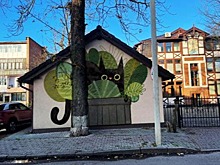 В центре Зеленоградска появятся новые граффити с котами
