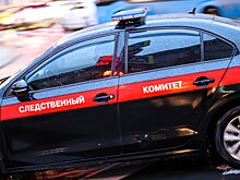 Комбат дивизии Дзержинского арестован за организацию свалки на полигоне