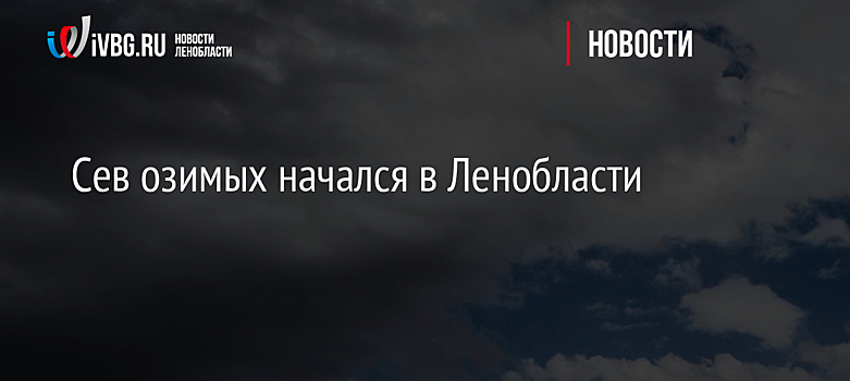 Сев озимых начался в Ленобласти