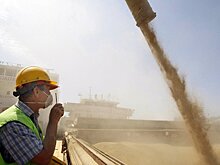 Какие сельхозпродукты Черноземья будут востребованы за границей