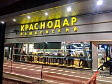 Прилетающим в Краснодар предложат сдать тест на коронавирус