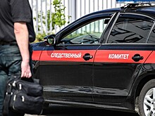 В СК подтвердили задержание Кулакова