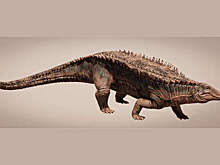 UT: обнаружены останки этозавра — ящера эпохи триаса, покрытого костяной броней