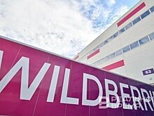 В России объем микрозаймов вырос на 29%